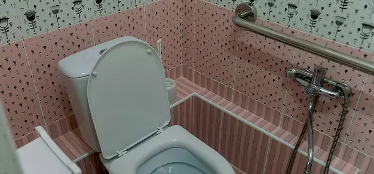 Meeting Diverse Needs With Accessible Restroom Solutions in Wheeling, IL